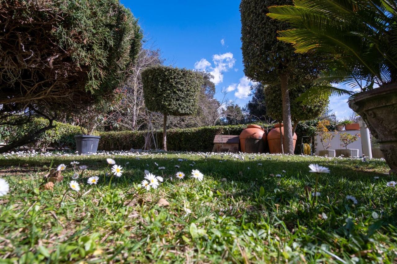 טירניה Beverly Park Residence מראה חיצוני תמונה