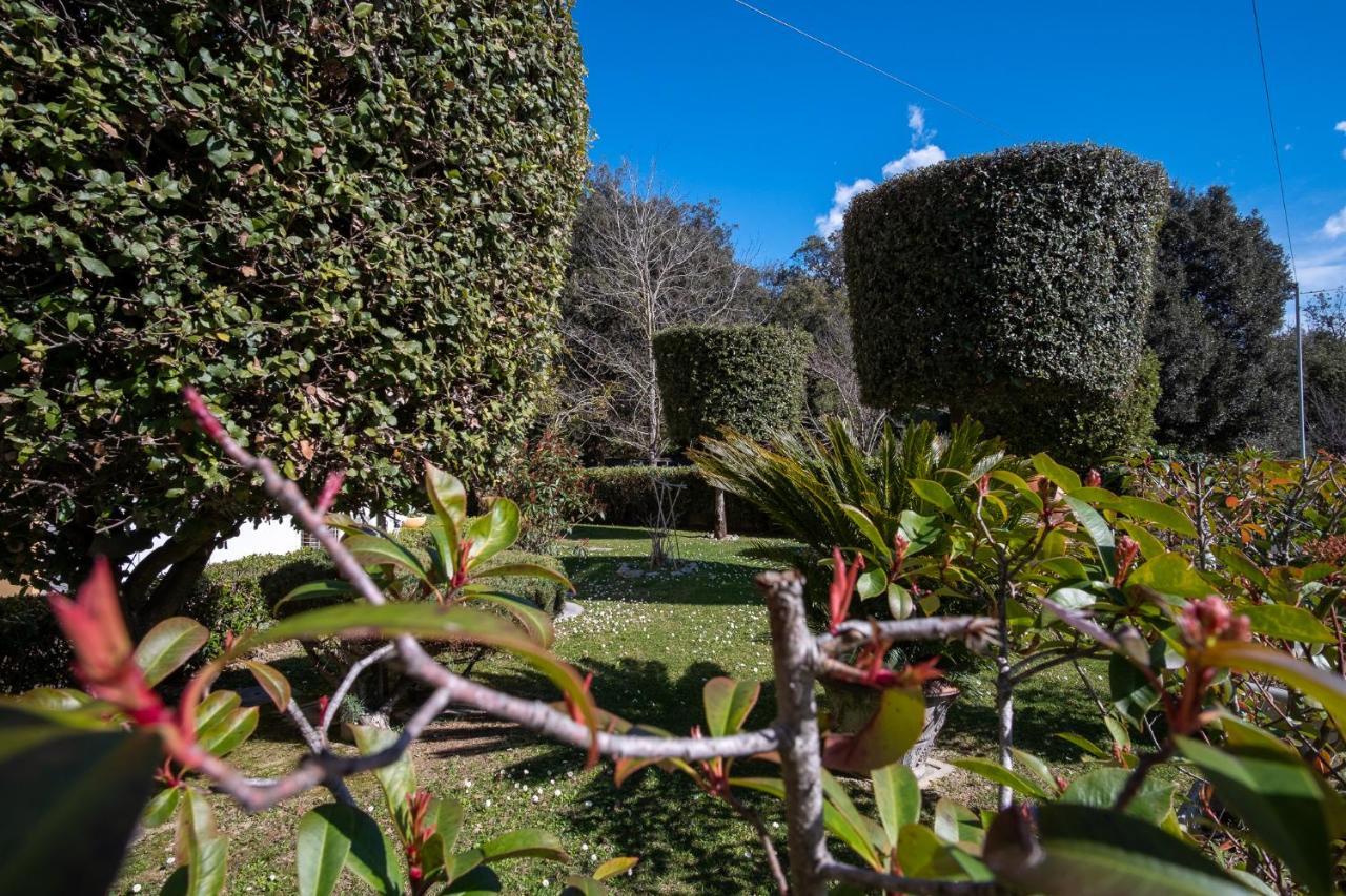 טירניה Beverly Park Residence מראה חיצוני תמונה